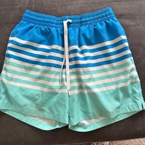 Chubbies Blue and Green Striped Shorts size S